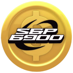 SPX6900 checkpoint